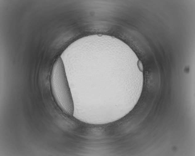 X0000116820692201001291622