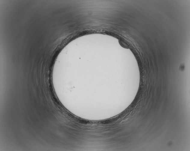 X0000116820693201001291622