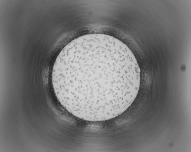 X0000116820694201001291622