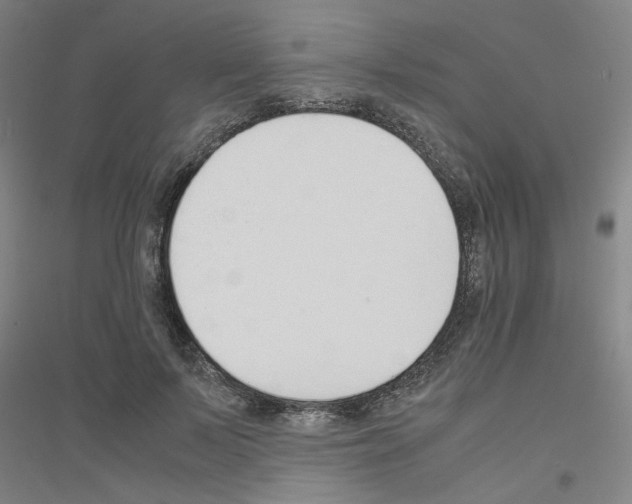 X0000116820695201001291622