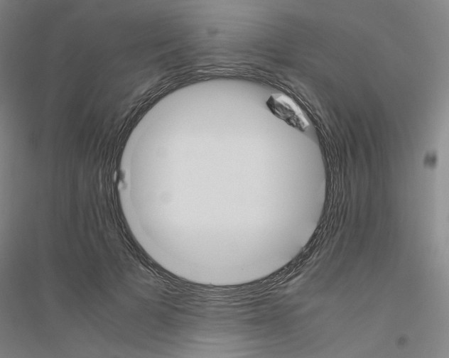 X0000116820697201001291622