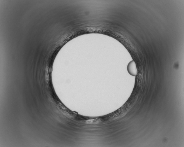 X0000116820700201001291622