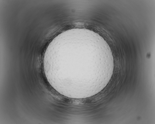 X0000116820702201001291622