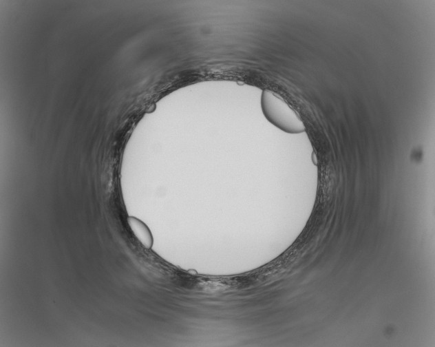 X0000116820703201001291622