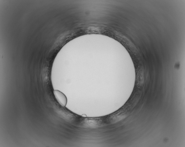 X0000116820706201001291622