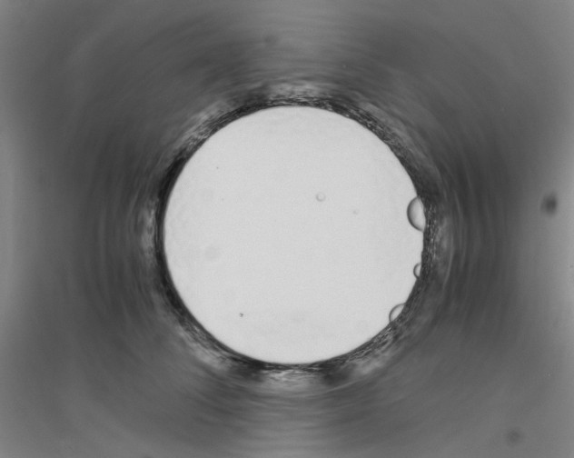 X0000116820708201001291622