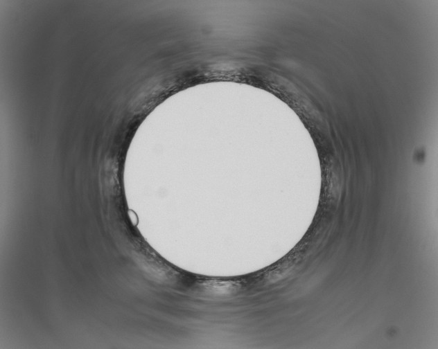 X0000116820711201001291622