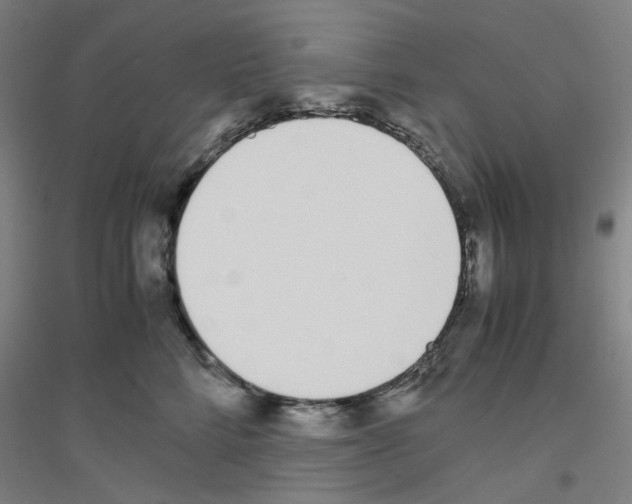 X0000116820712201001291622