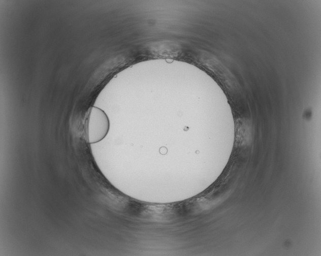 X0000116820713201001291622