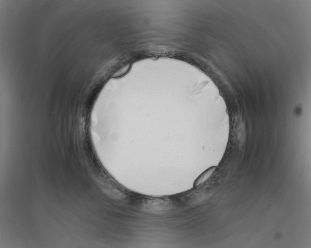 X0000116820716201001291622