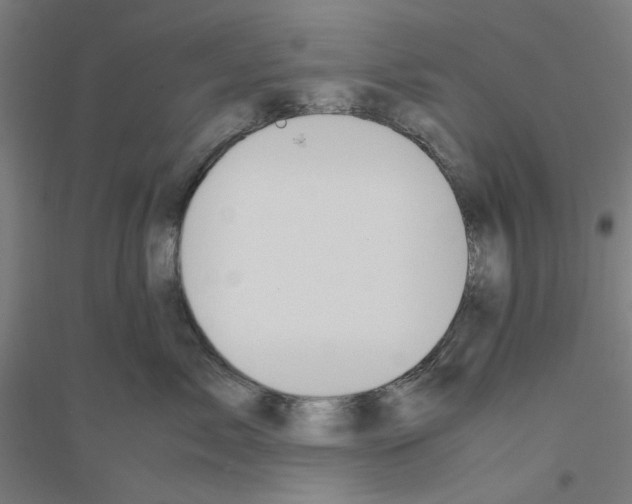 X0000116820717201001291622