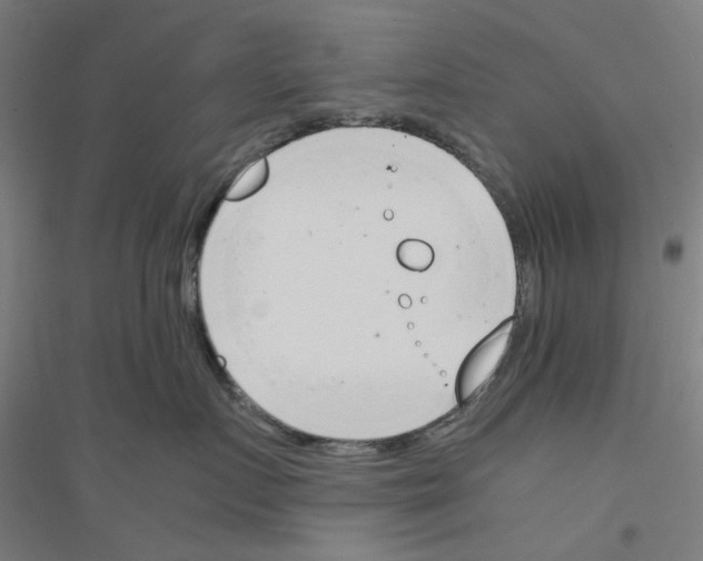 X0000116820719201001291622