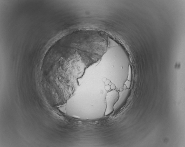 X0000116820721201001291621