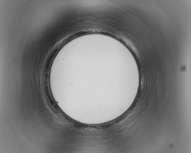 X0000116820722201001291621