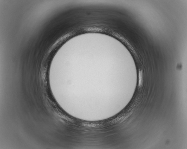 X0000116820723201001291621