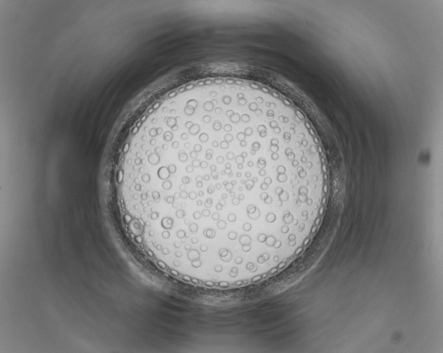 X0000116820725201001291621