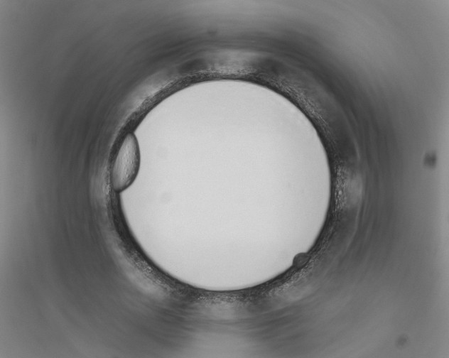 X0000116820726201001291621