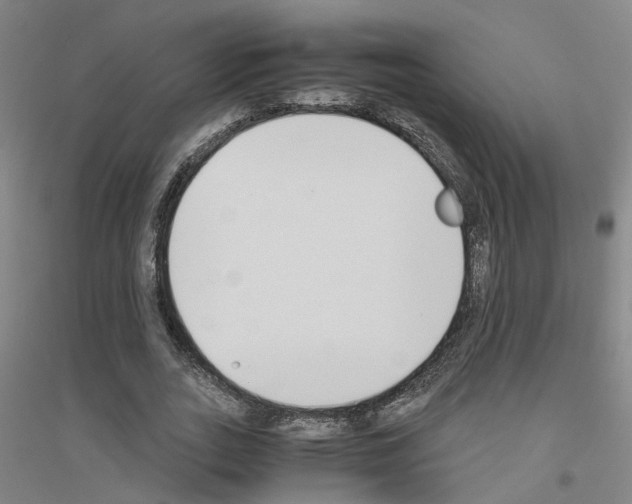 X0000116820727201001291621