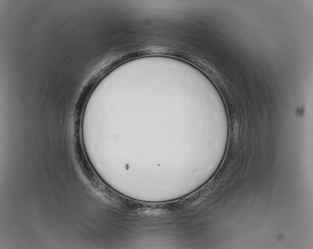 X0000116820730201001291621