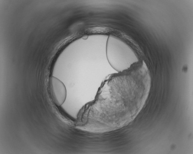 X0000116820733201001291621