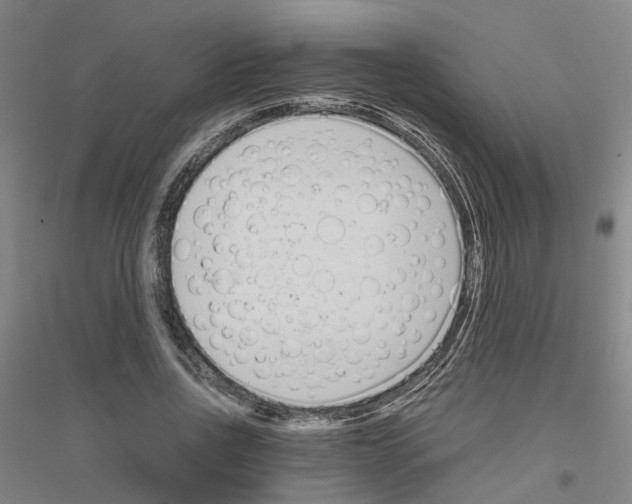 X0000116820734201001291621