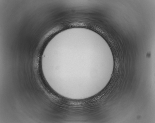 X0000116820735201001291621