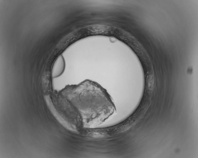 X0000116820737201001291622