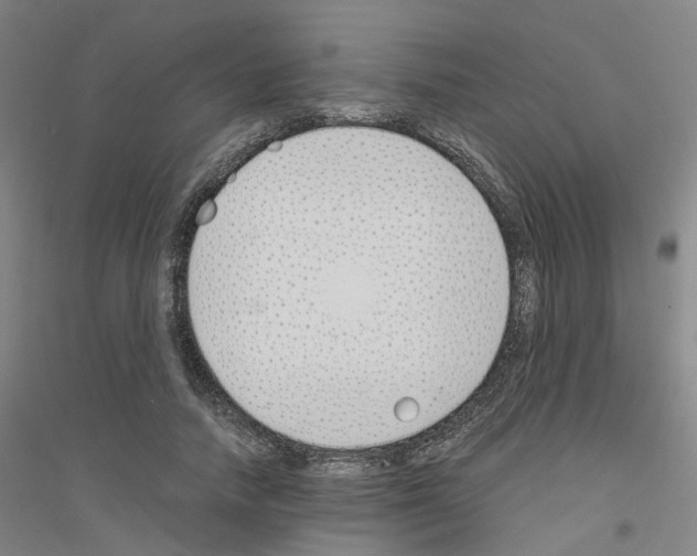 X0000116820738201001291622