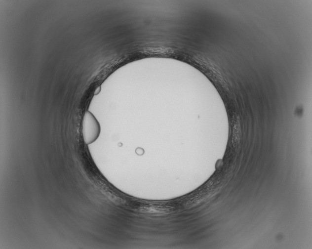 X0000116820739201001291622