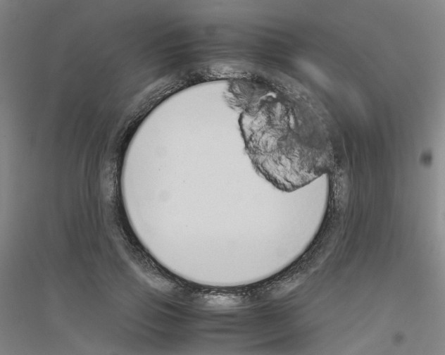 X0000116820741201001291622