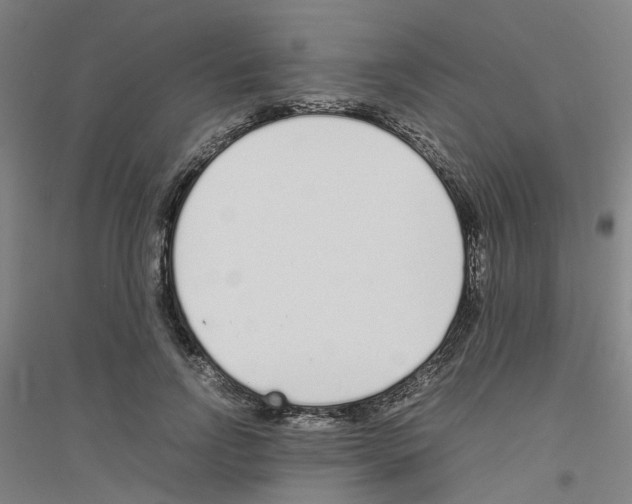 X0000116820742201001291622