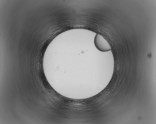 X0000116820743201001291622