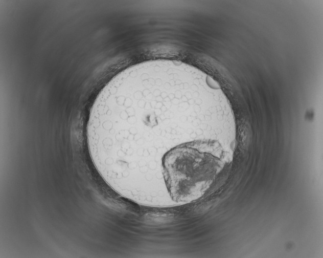 X0000116820745201001291622