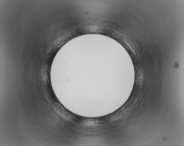 X0000116820746201001291622