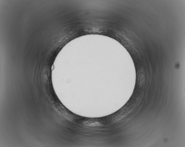 X0000116820747201001291622