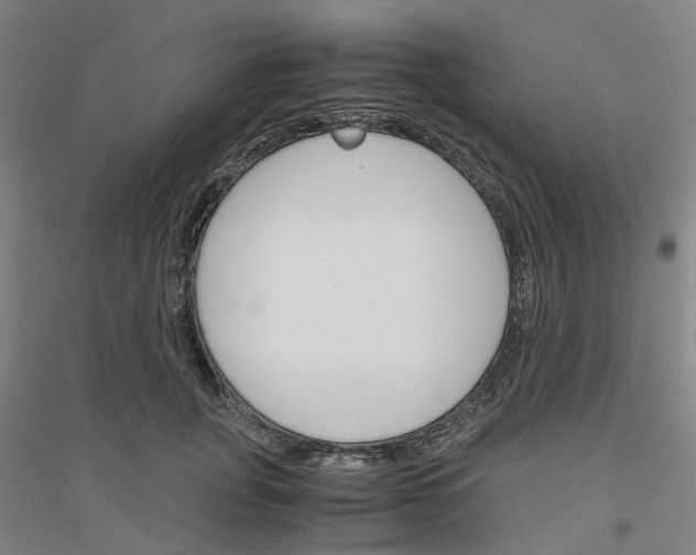 X0000116820751201001291622