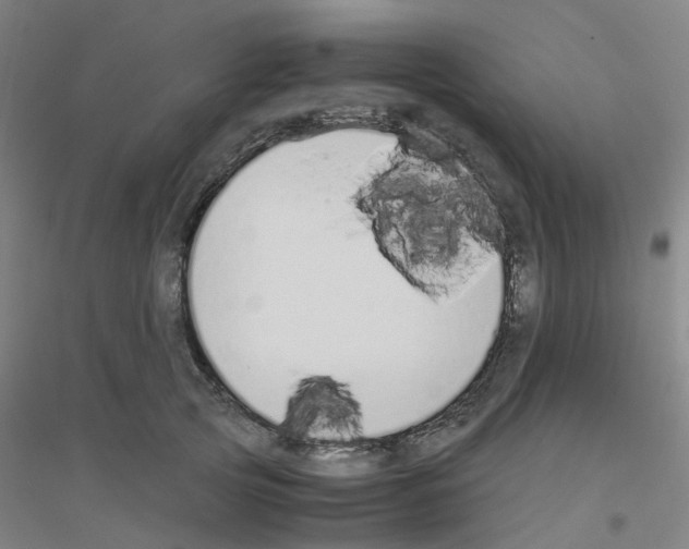 X0000116820753201001291622