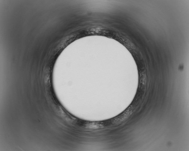 X0000116820754201001291622