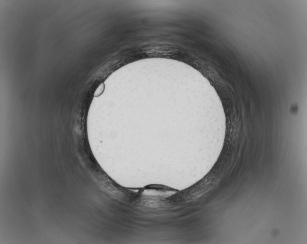 X0000116820755201001291622