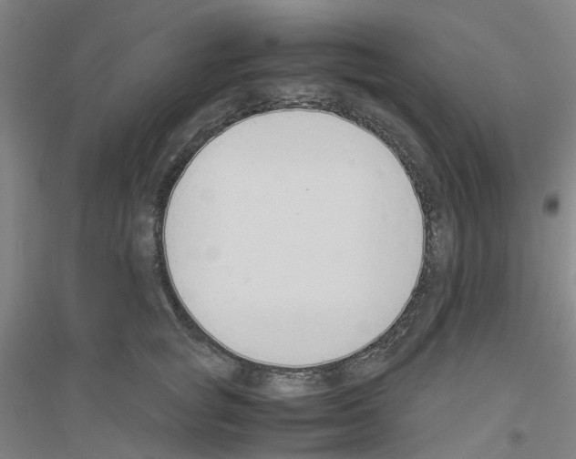 X0000116820757201001291622