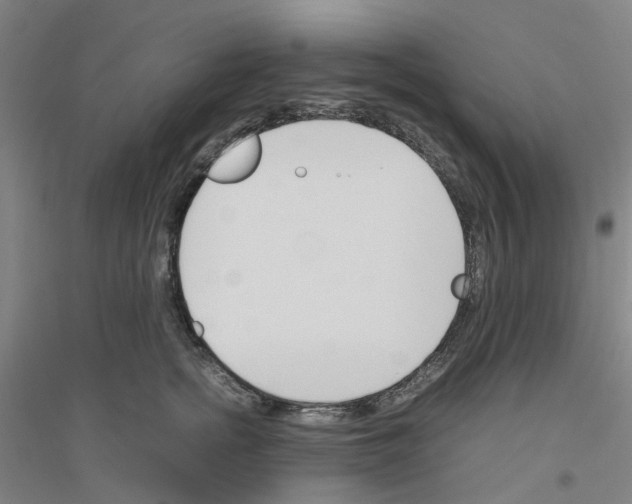 X0000116820758201001291622