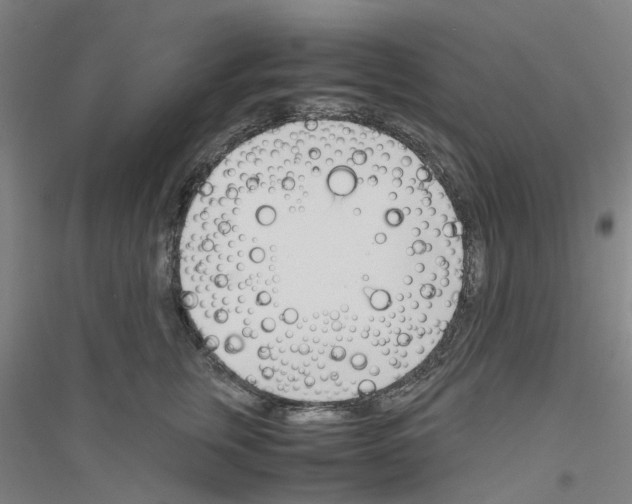 X0000116820759201001291622