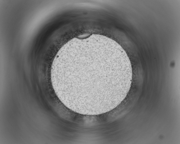 X0000116820762201001291622