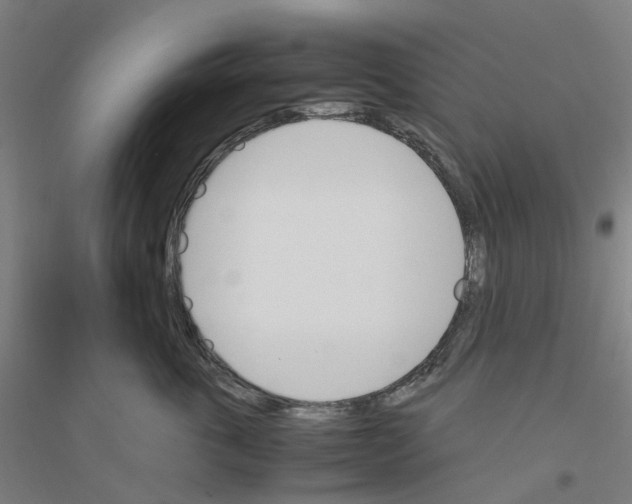 X0000116820763201001291622