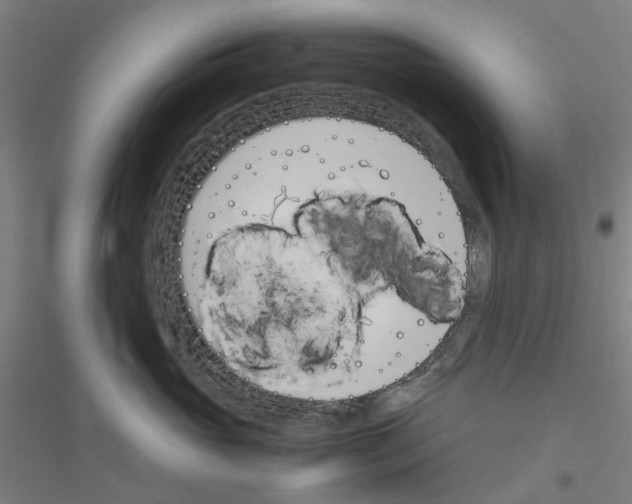 X0000116820765201001291622