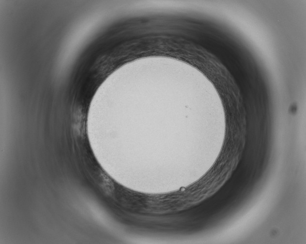 X0000116820766201001291622