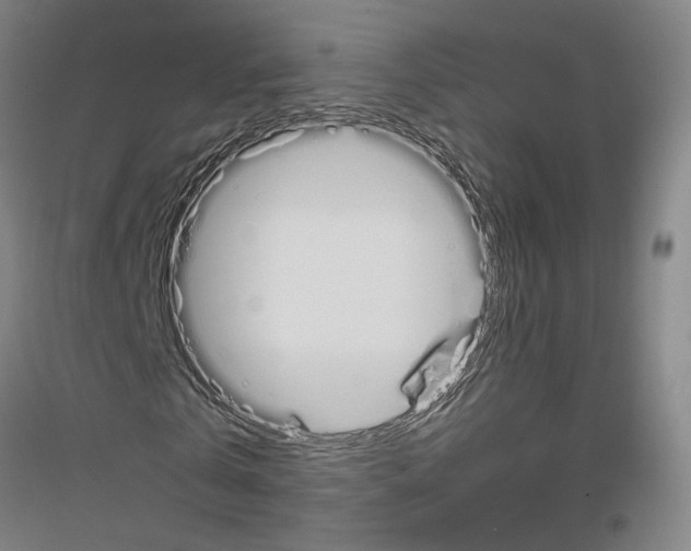 X0000116820769201001291621