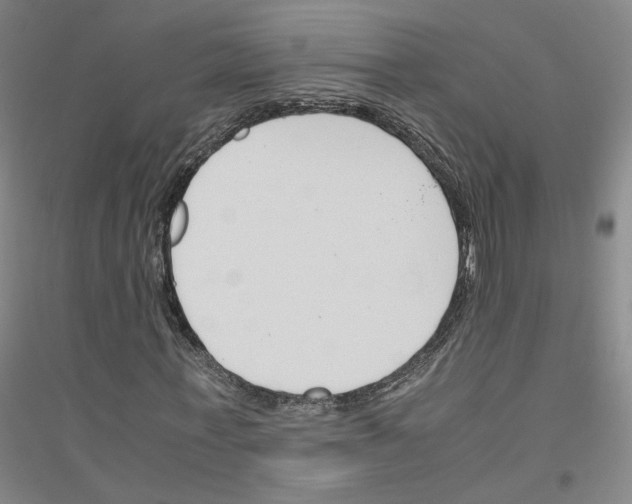 X0000116820771201001291621