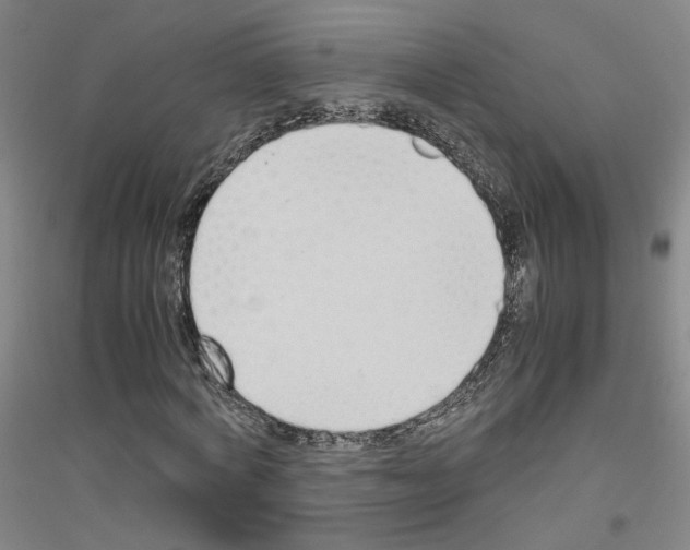 X0000116820772201001291621