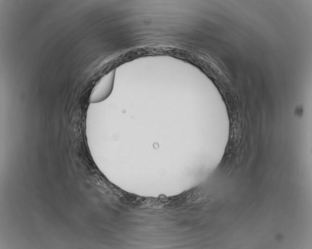 X0000116820773201001291621